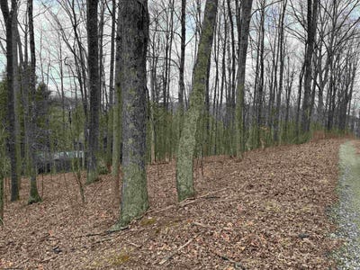 /international/us/elliott-avenue-belington-wv-110105865814/