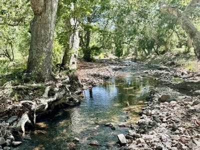 /international/us/125-deep-creek-ranch-rd-glenwood-nm-110104267725/