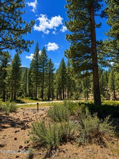 /international/us/406-rose-summit-trail-lot-348-carson-city-nv-110108412457/