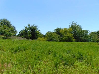 /international/us/tbd-peach-creek-road-fanshawe-ok-110100920186/