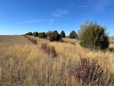 /international/us/tbd-cherry-road-hemingford-ne-110103319748/