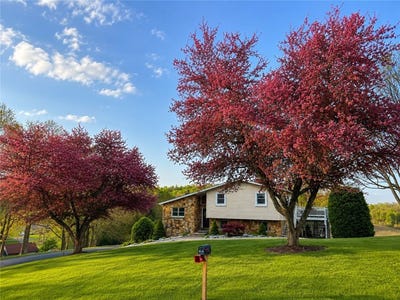 /international/us/89-fir-st-rayne-twp-ernest-pa-110109117486/