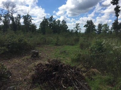 /international/us/1240-county-rd-875-thornfield-mo-110103182982/