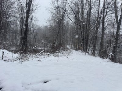 /international/us/435-old-long-branch-rd-pax-wv-110106217940/
