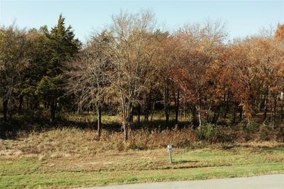 /international/us/307-cedar-creek-landing-lane-mabank-tx-110101176680/