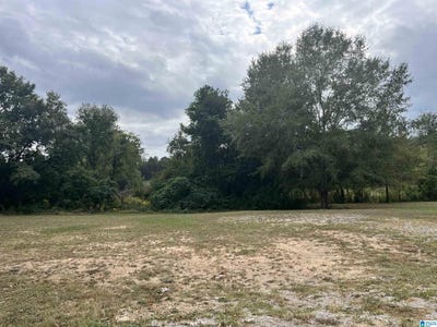 /international/us/4308-cogswell-avenue-pell-city-al-110088075484/