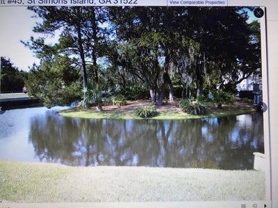 /international/us/45-gascoigne-st-simons-island-ga-110095931764/