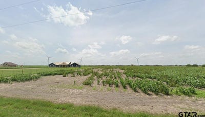 /international/us/dahlia-cir-lyford-tx-110108119432/