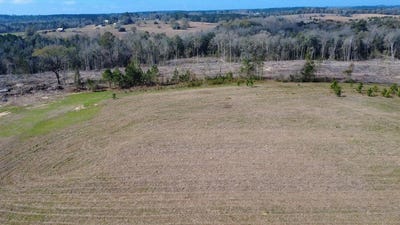 /international/us/cr-5-ozark-al-110106932399/