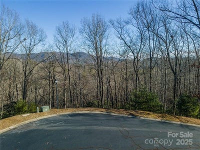 /international/us/80-buckhead-trail-27-horse-shoe-nc-110090179097/