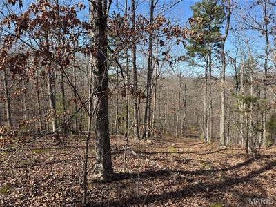 /international/us/1003-hidden-valley-lakes-annapolis-mo-110105920729/
