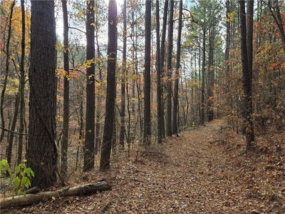 /international/us/cedar-branch-hattieville-ar-110103724431/
