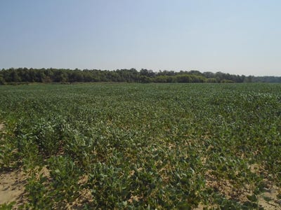 /international/us/estil-baker-road-hanson-ky-110094260616/