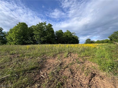 /international/us/walker-hill-road-stockport-oh-110108140364/