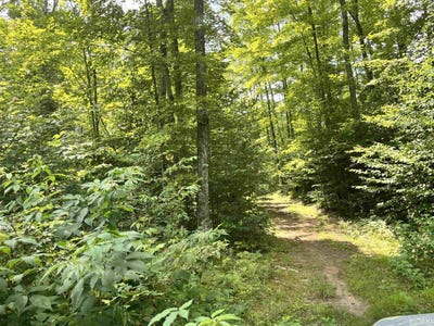 /international/us/17290-county-road-468-newberry-mi-110101303098/?lang=zh-tw