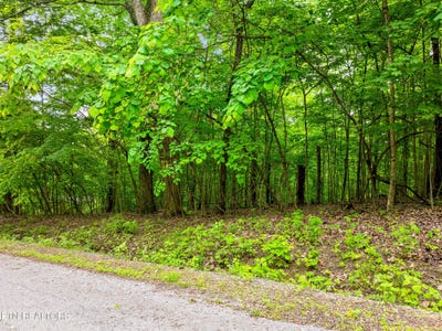 /international/us/running-deer-tr-caryville-tn-110106706008/