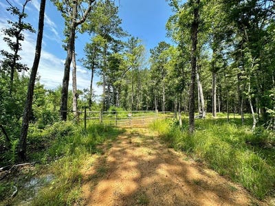 /international/us/lee-bass-road-pinola-ms-110108566575/