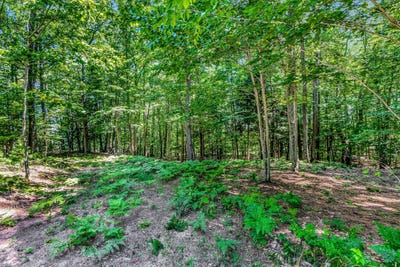 /international/us/lot-1-emerald-ridge-onekama-mi-110097015532/