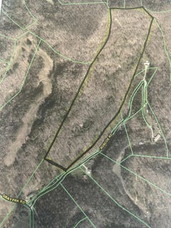 /international/us/9999-gray-fork-rd-manchester-ky-110107554080/