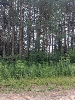 /international/us/valleyway-drive-lot-85-elmira-mi-110119508856/