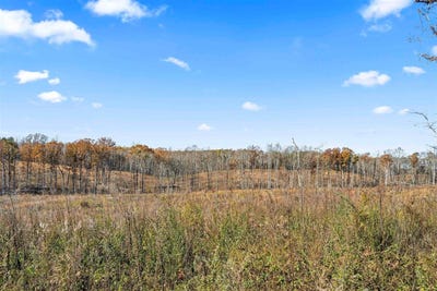 /international/us/00-co-rd-1067-vinemont-al-110100851536/