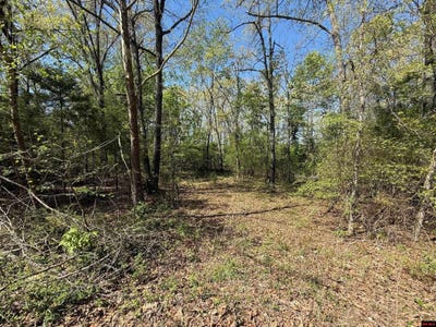 /international/us/22-big-tree-court-elizabeth-ar-110107150782/