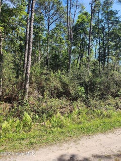 /international/us/lot-60-drake-road-boiling-spring-lakes-nc-110099110048/?lang=zh-cn