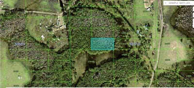 /international/us/n-a-polk-city-fl-110094196148/?lang=en