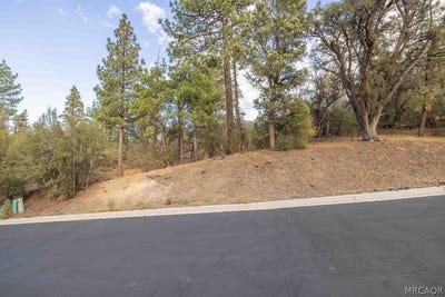 /international/us/432-woodcreek-drive-lot-59-big-bear-city-ca-110120412214/