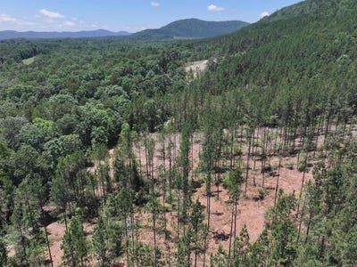 /international/us/xxx-palmer-mountain-road-caddo-gap-ar-110100264872/