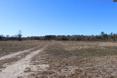 /international/us/0-highway-3-blackville-sc-110104432387/