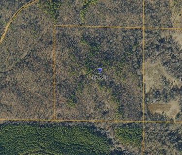 /international/us/46-acres-hwy-8-holcomb-ms-110109181127/