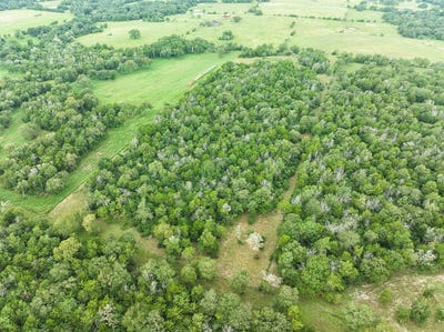 /international/us/4744-freyburg-hall-road-schulenburg-tx-110094381736/