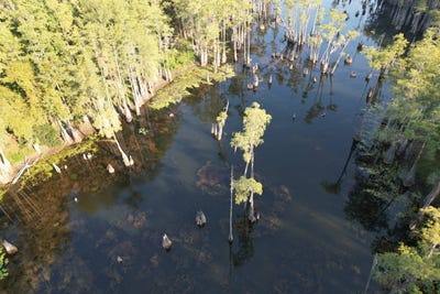 /international/us/0-myrtle-trail-grand-ridge-fl-110106098925/