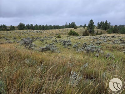 /international/us/parcel-16-mountain-view-road-molt-mt-110104537625/