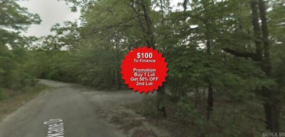 /international/us/lot-2-tellico-circle-cherokee-village-ar-110101426959/?lang=zh-tw