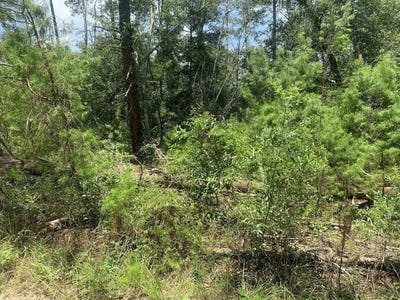 /international/us/111-new-york-avenue-satsuma-fl-110107346098/