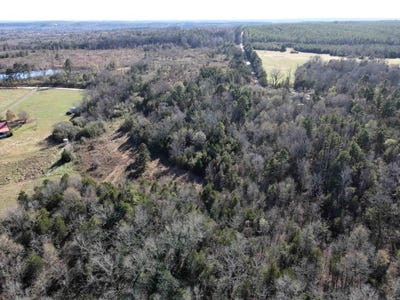 /international/us/copeland-cave-road-cleveland-ar-110104127321/