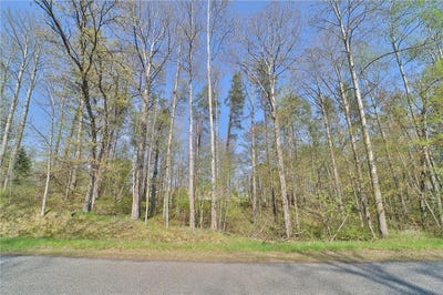 /international/us/lots-5-6-7-terminal-road-breezy-point-mn-110106565735/