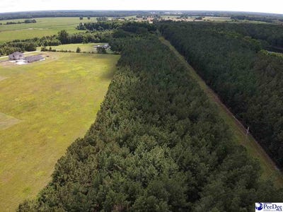 /international/us/harllees-bridge-road-little-rock-sc-110108877082/