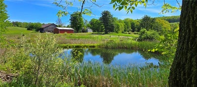 /international/us/324-murphy-hill-road-horseheads-ny-110108505766/