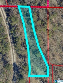 /international/us/6th-street-lot-14-3-hayden-al-110108573330/