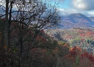 /international/us/tbd-upper-peachtree-road-murphy-nc-110095680200/?lang=fr