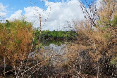 /international/us/ab-304-sec-1225-el-rr-24-138-acres-blk-11-24-138-acres-post-tx-110106670224/