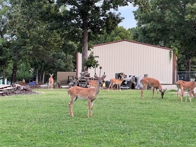 /international/us/deer-creek-canadian-il-110120038683/