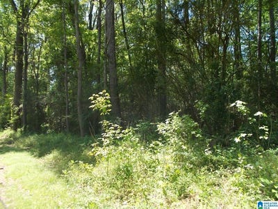 /international/us/4858-lynndale-road-graysville-al-110109050732/