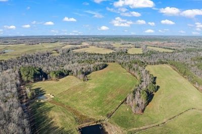 /international/us/150-acre-prong-of-clear-fork-jamestown-tn-110107312182/