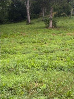/international/us/richlands-va-110100920297/?lang=zh-tw