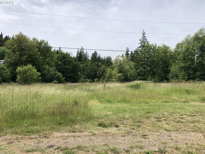 /international/us/cougar-st-vernonia-or-110100204583/