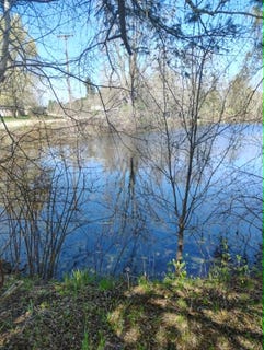 /international/us/2742-parkway-court-gladwin-mi-110105525483/